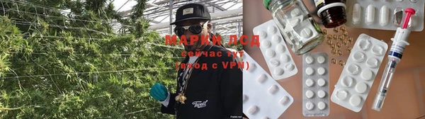гашик Беломорск