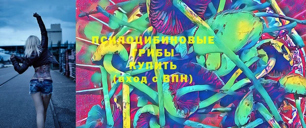 гашик Беломорск