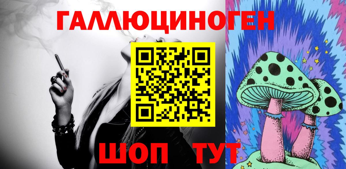 Гатчина  Псилоцибиновые грибы Cubensis  где купить   Вход с VPN 